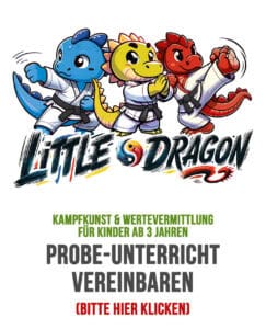 Kampfsport für Kinder ab 3 Jahren